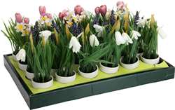 Grøn plante i plast incl. skjuler