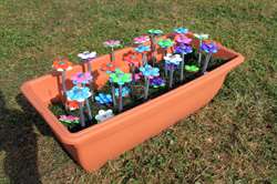 Outdoor Revolution Daisy pløkker